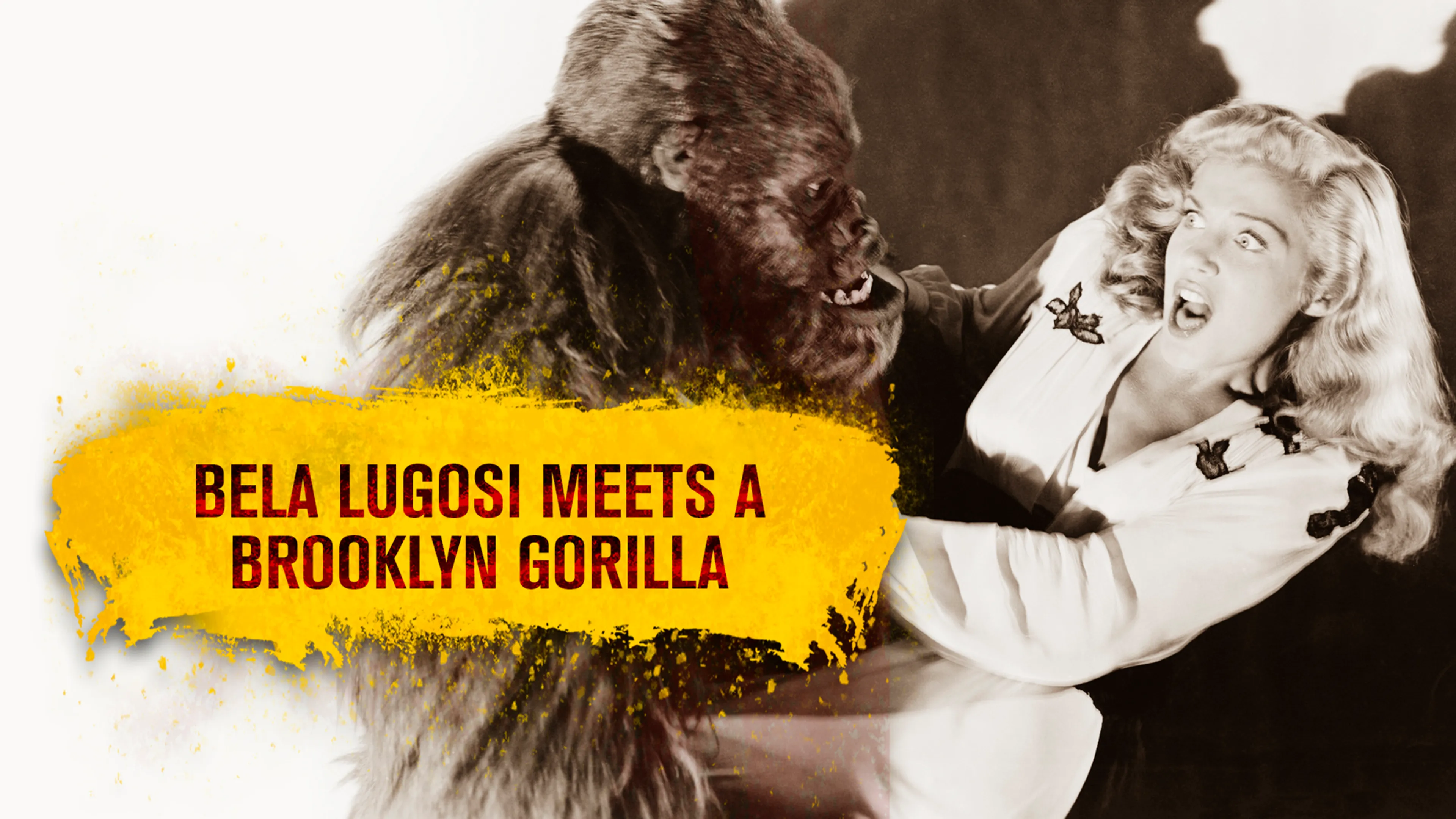 Bela Lugosi Meets a Brooklyn Gorilla poster